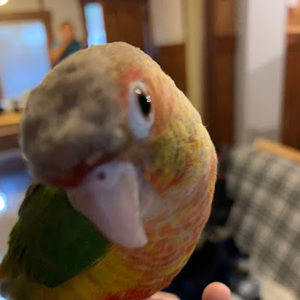 Meet your Posher, Daniel